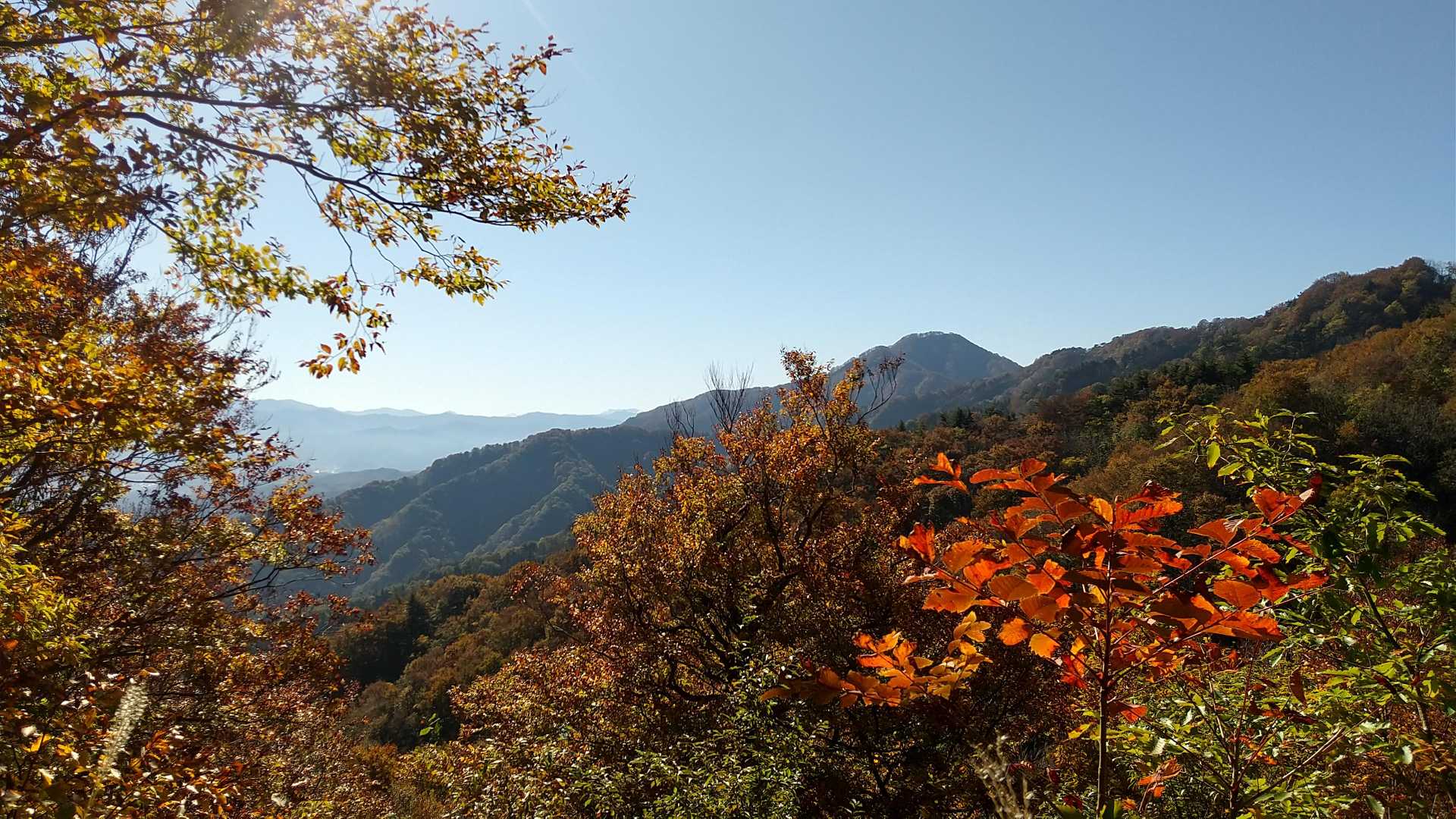 　途中の八景台から眺める母狩山と鎧ヶ峰です。得も言われぬ秋景色です。母狩山の肩にはボリューミーな以東岳、その左にイケメン大朝日岳、さらに左にロックな障子ヶ岳が見えました。