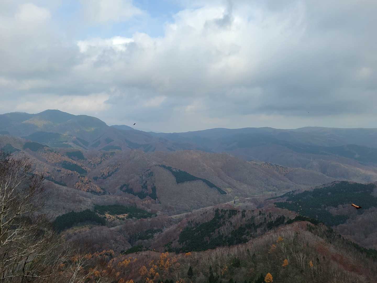 晴れてたらもっと良さげな眺望👀