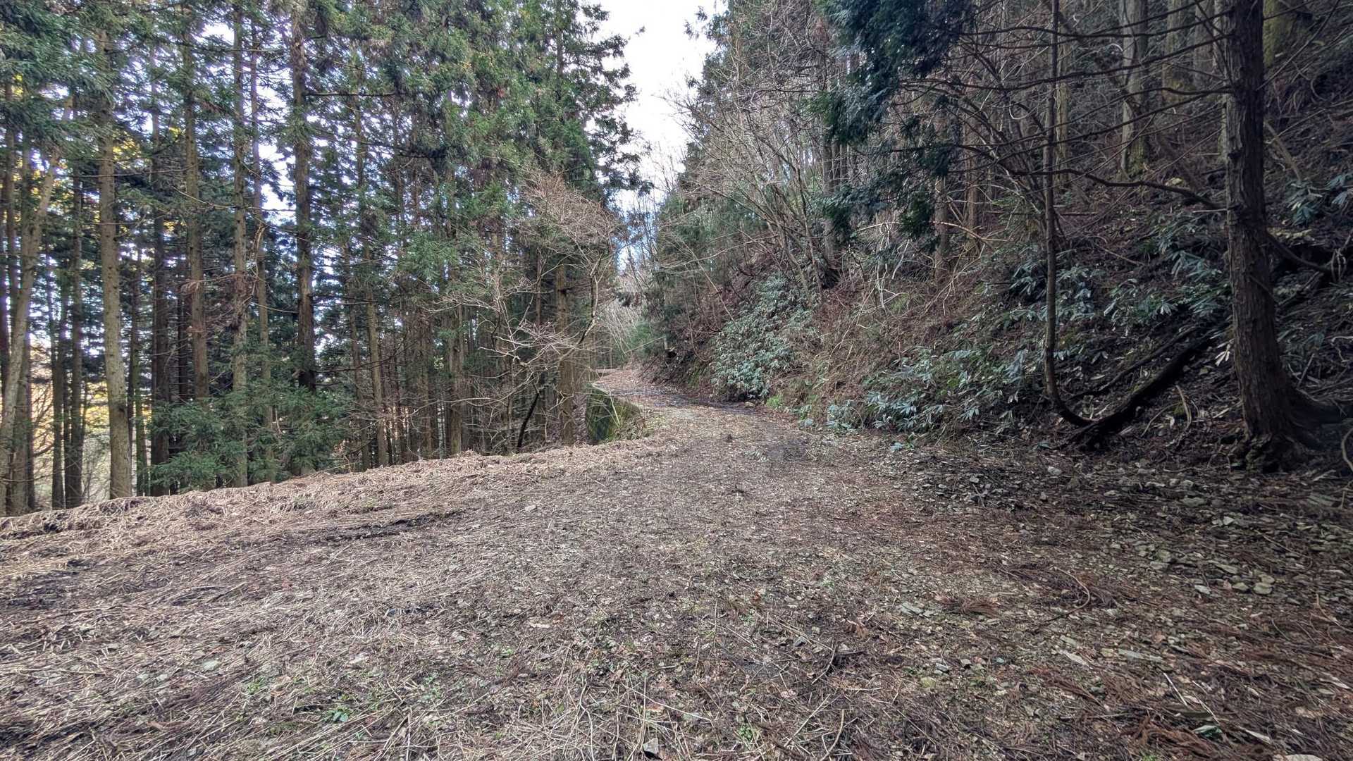 大将陣 往復コースの写真