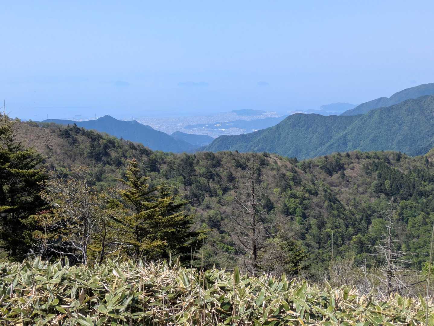 ちょっと霞んでるけど、新居浜市や瀬戸内海の小島も見えますね😍