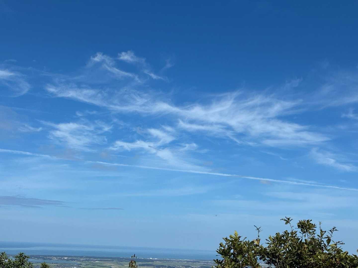飛行機雲✈️