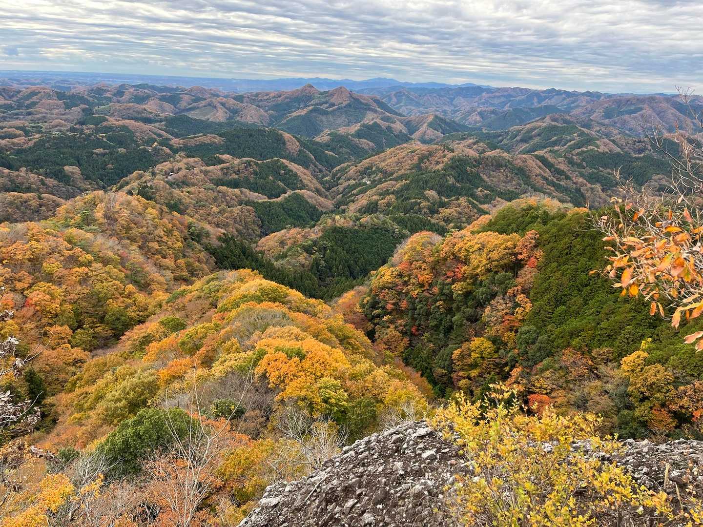 すごい一面の紅葉🍁です