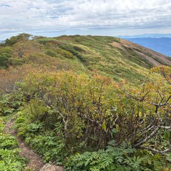 鳥海山の標識はわからず
なだらかな稜線歩き