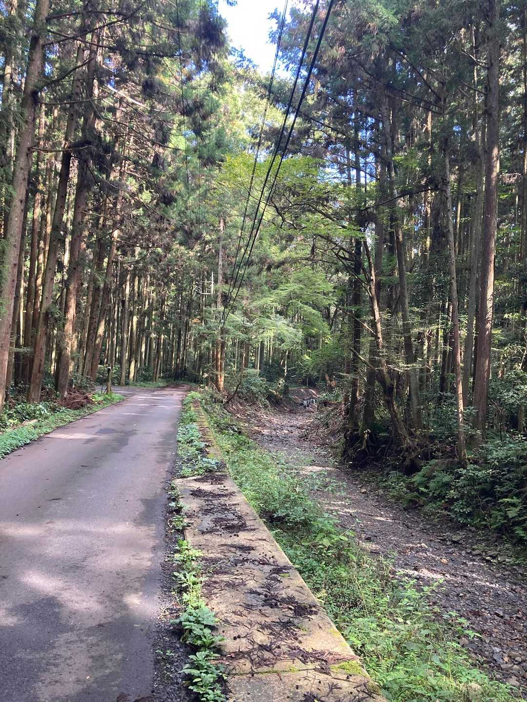 側には乾いた川が✨