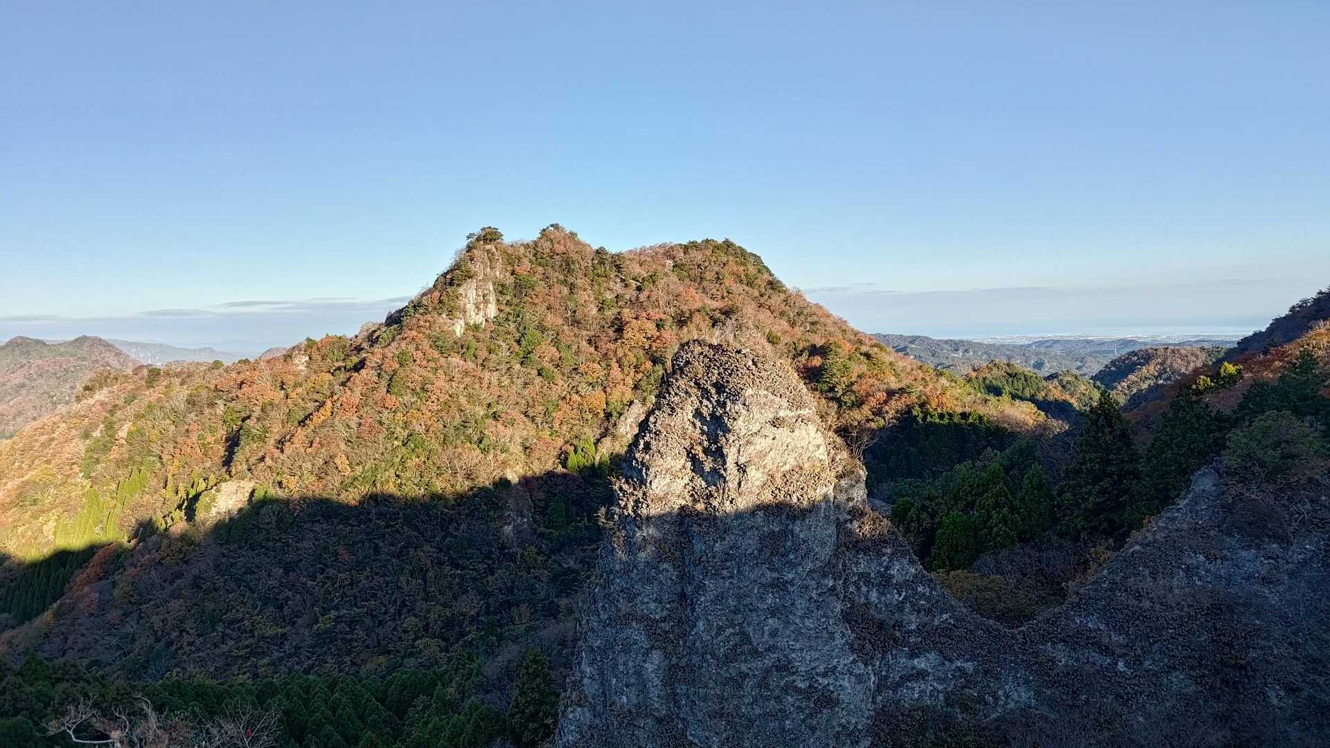 ねこ山😺