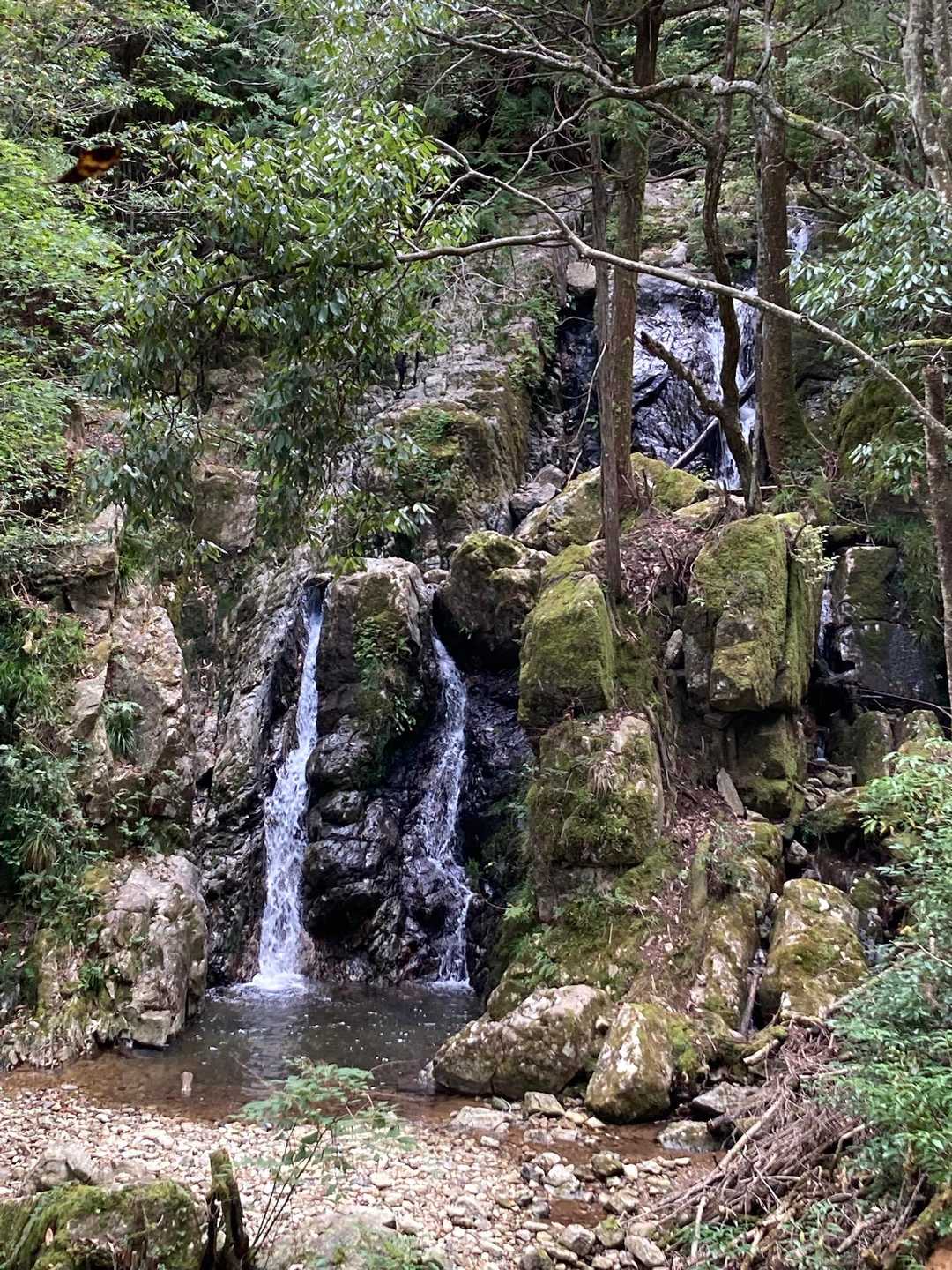 音羽の滝
まずまずの水量でした