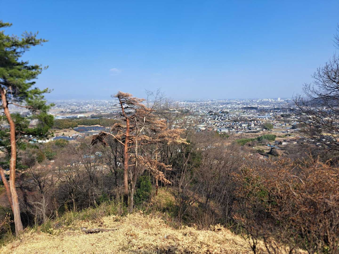 展望台から