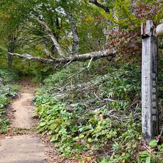 奥羽山脈緑の回廊 総延長400km😳