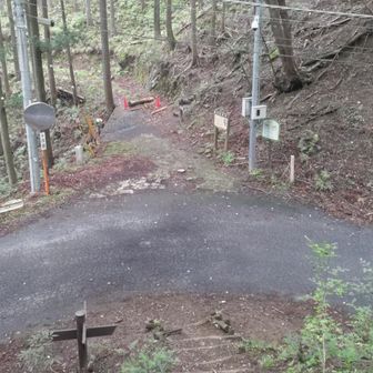 天目指峠、一般道を横切り右上方向に進む