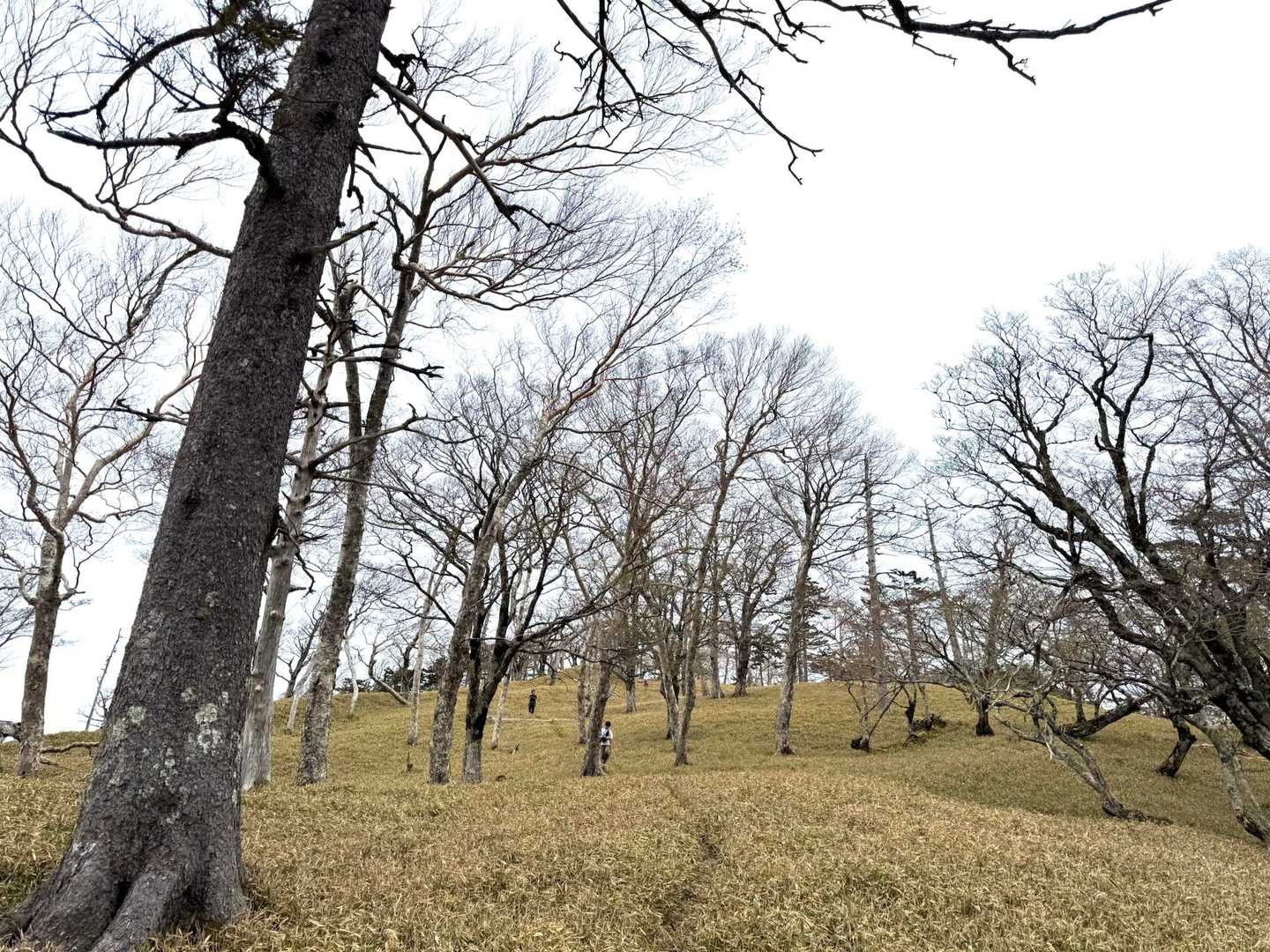この道も、一歩一歩360°、大好き。