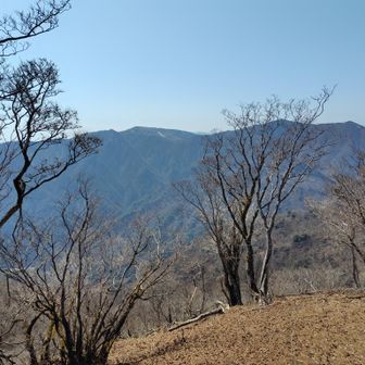 竜ヶ岳までは遠い。藤原への戻りで鈴鹿７を一気に歩くと言ってた人と遭遇。超人かな？