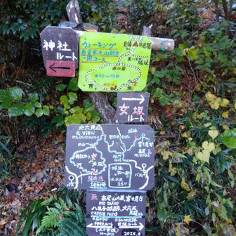 登山口、ていねいな案内板☺️