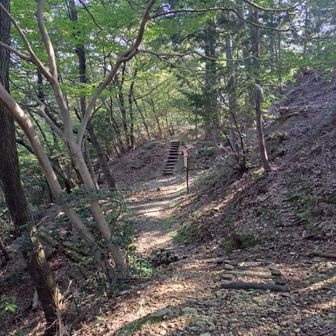 登山道