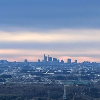 中央には、さいたま新都心。

どんどん目線を左にいくごとに都心から長閑へ…

移り変わる様子の大パノラマ