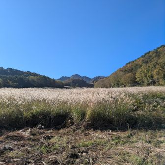 すすき原の先には磐梯山