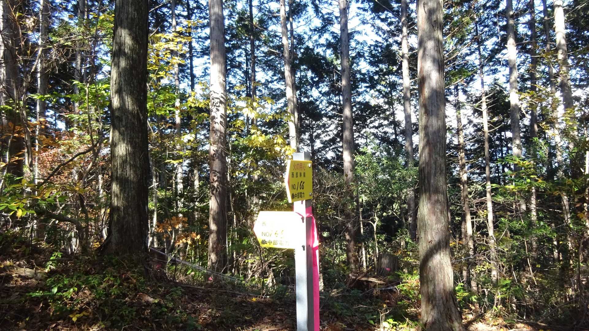 T166-T165分岐....🚶‍♀️