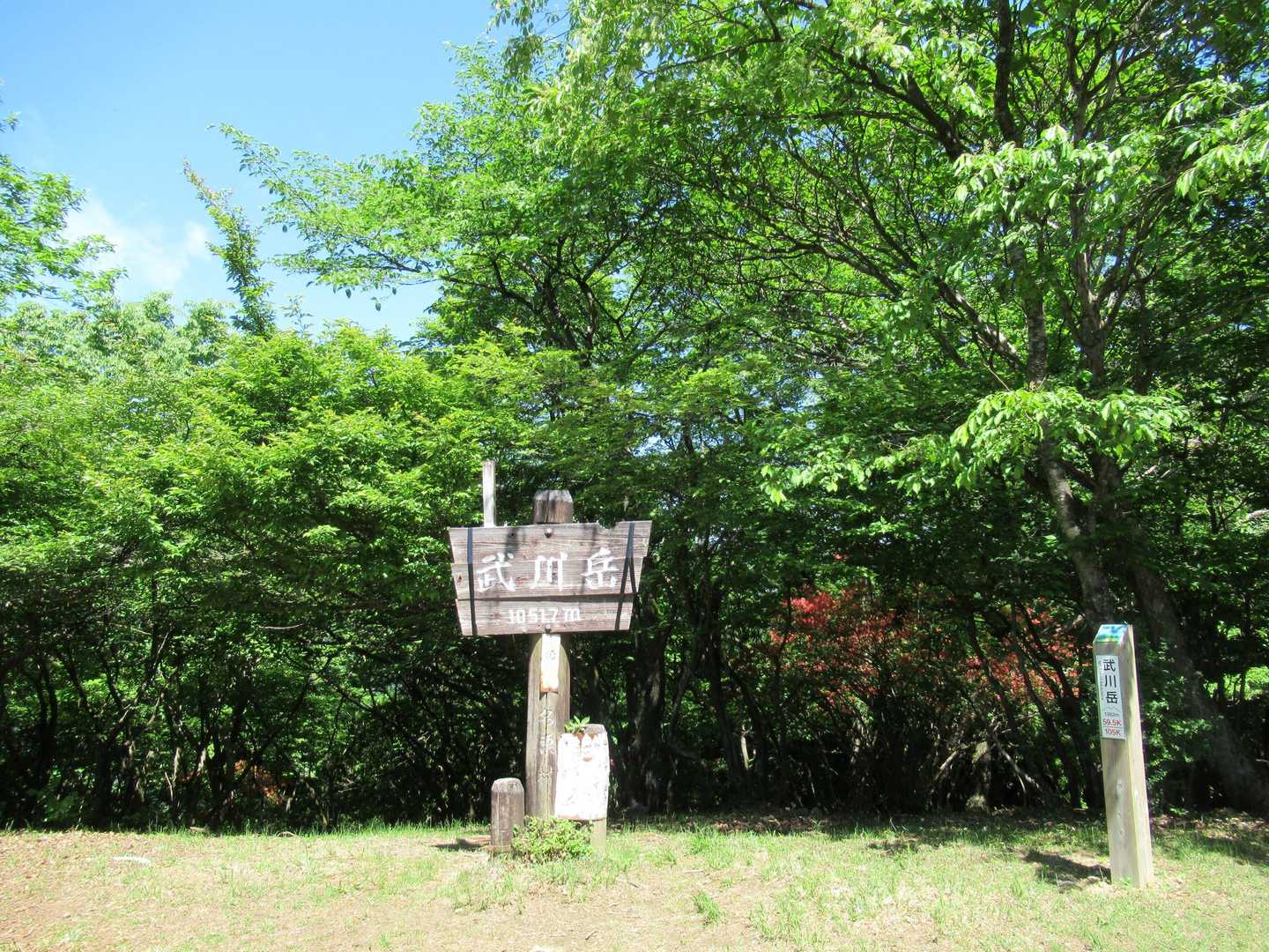 武川岳到着。明るい山頂にはベンチ4基あり。眺望は南に少しだけで残念。