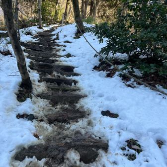 登り始めの様子