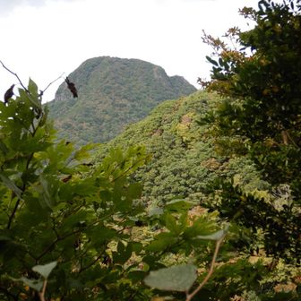 西岳への登りから眺める経ヶ岳はまだ色が無い