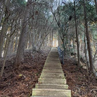 ここも階段地獄か？！
今日はゆったり登ります
