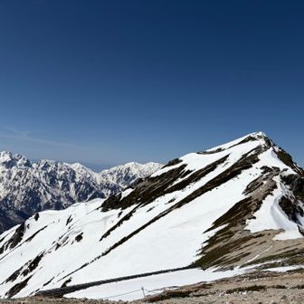 唐松岳
出た！
相変わらずカッコよ