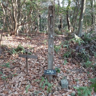 二タ山の山頂。
山頂標識がなければ、ここが山頂とはわからない。