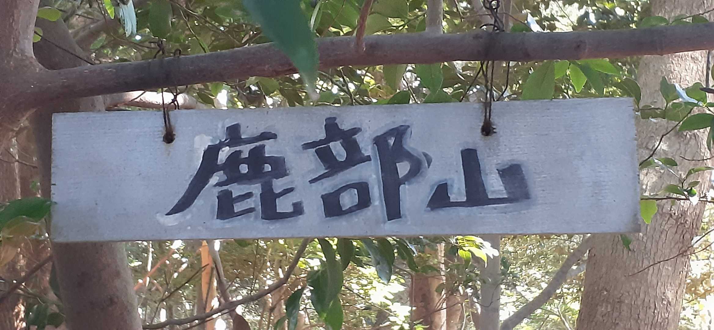 地味な山頂プレートもかなり痛みがすすんでいた。