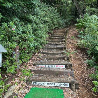 右回りで登ります！