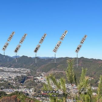 奥多摩、最近熊の心配していたけど、やっぱりいいですね。東京の宝です！