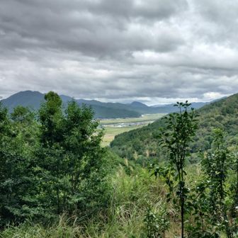 北に延びる山々と平地。中央奥は前回登った岩屋山かな？？