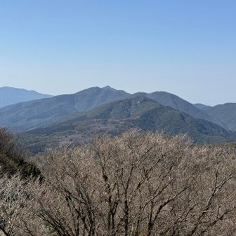 これから目指す金山方面
