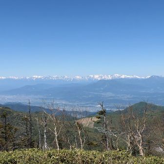 北アルプスがぜんぶ丸みえ。
素敵すぎて唖然とした。
雨飾山とかも見えたけど写真撮れてない😭