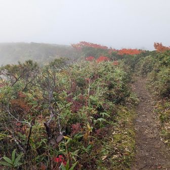 折角ここまで来たし…寄ってみましょ…大深山荘🛖