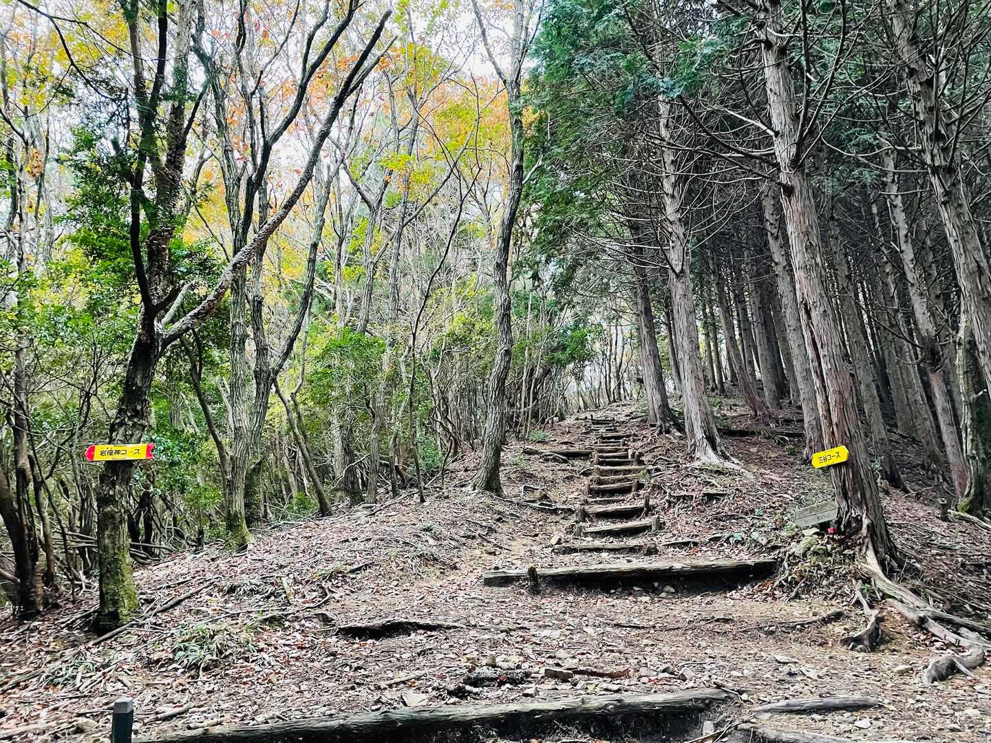 岩座神コースとの分岐に到着！