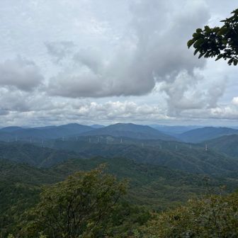 ひたすら山山山そしてすごい鉄塔の数