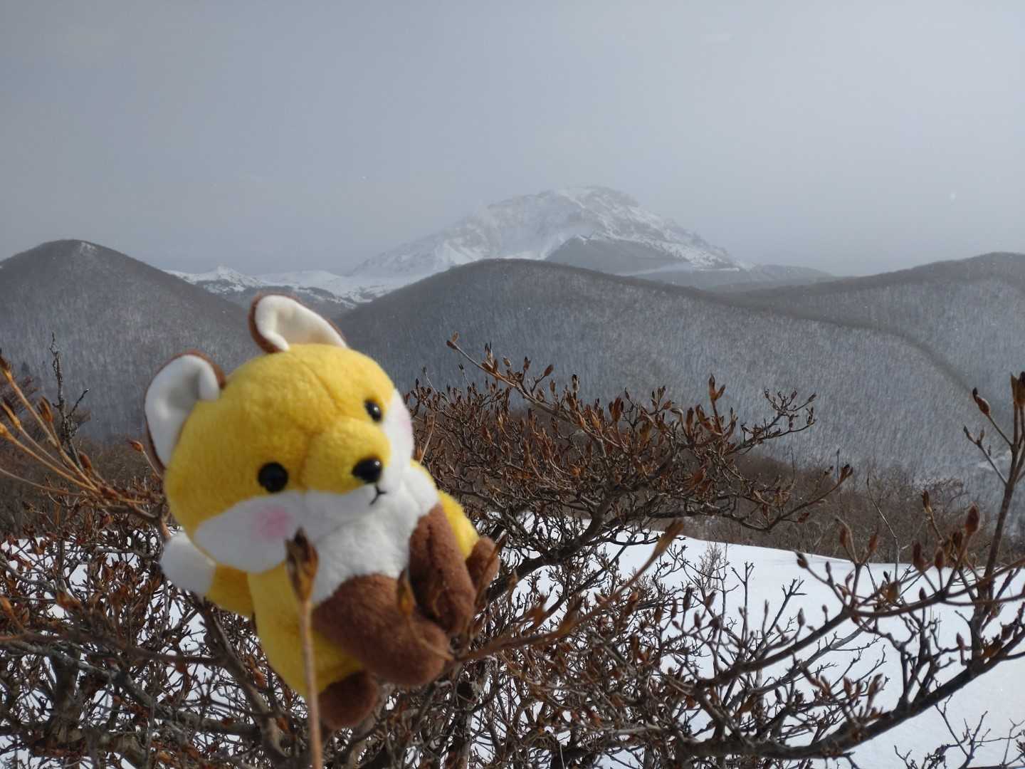 曇った恵山バックに
しばらく待ったけど晴れなかった😢