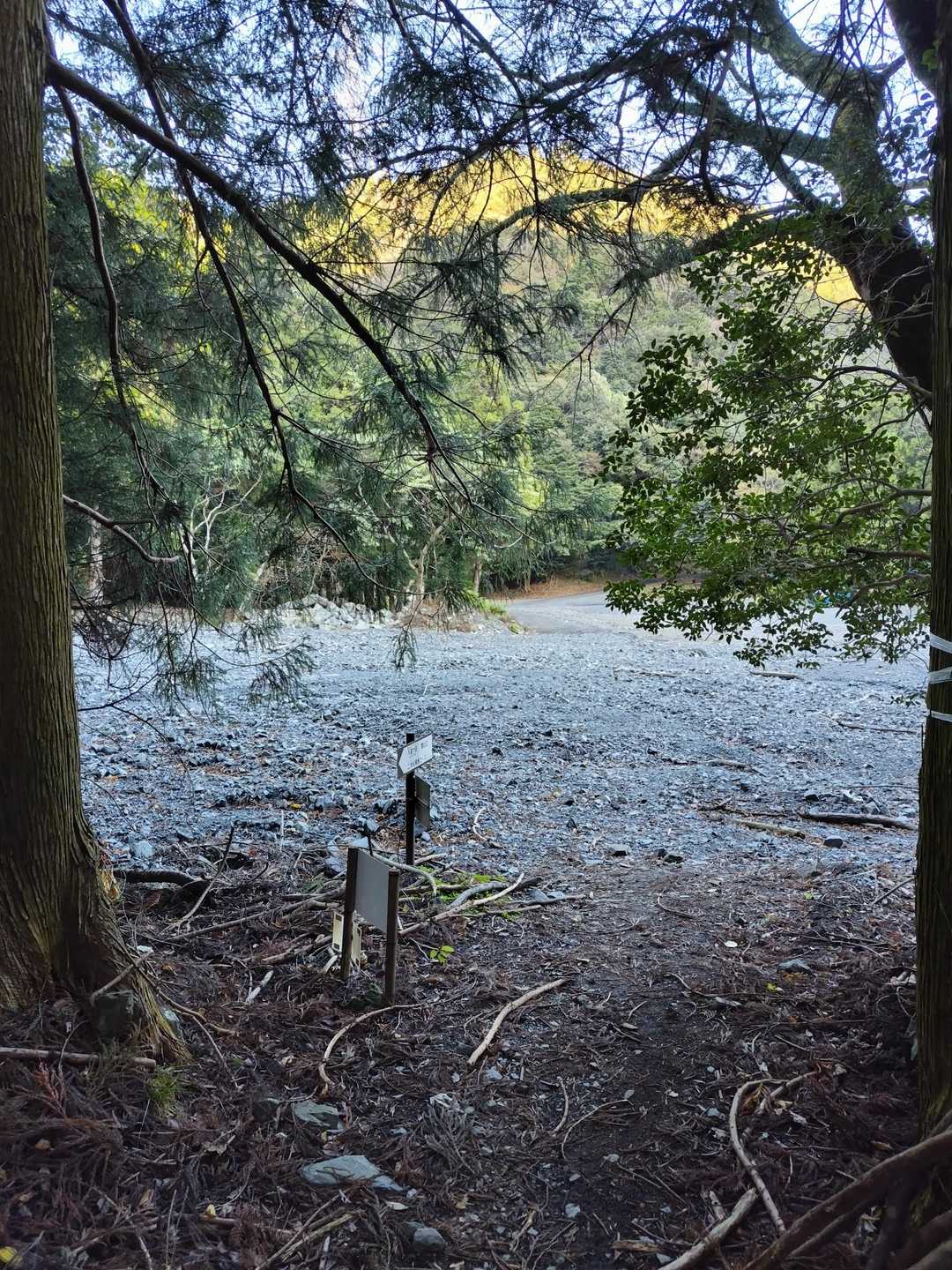 入道ヶ岳 往復コースの写真