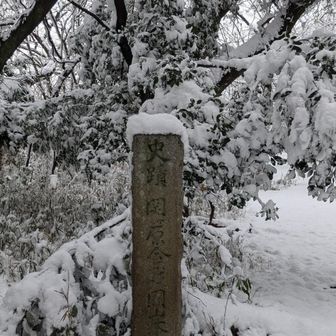 お勝山山頂！
関ヶ原合戦の東軍徳川家康が本陣を構えた場所です。