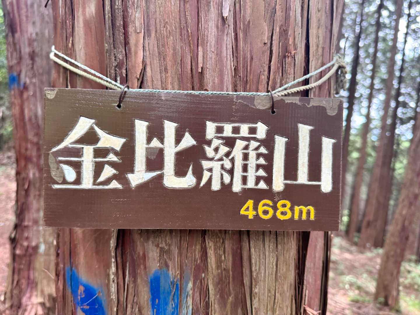 眺望のない金比羅山に到着しました🙌
