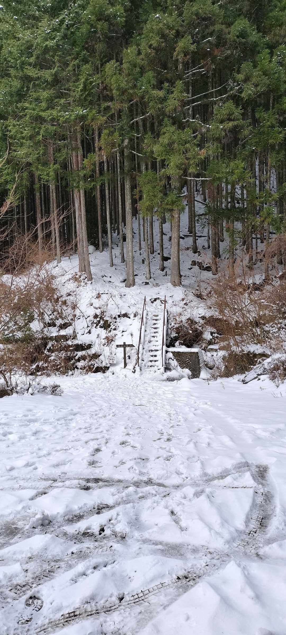 ここからスタート