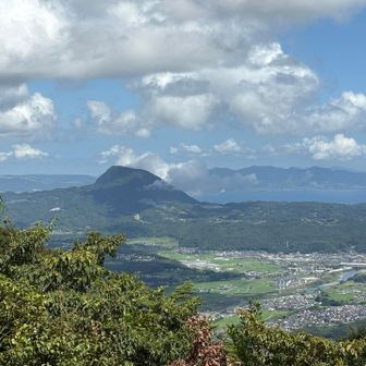 高崎山は顔にまとわりつく虫がいるので
それなりの準備が必要です😅