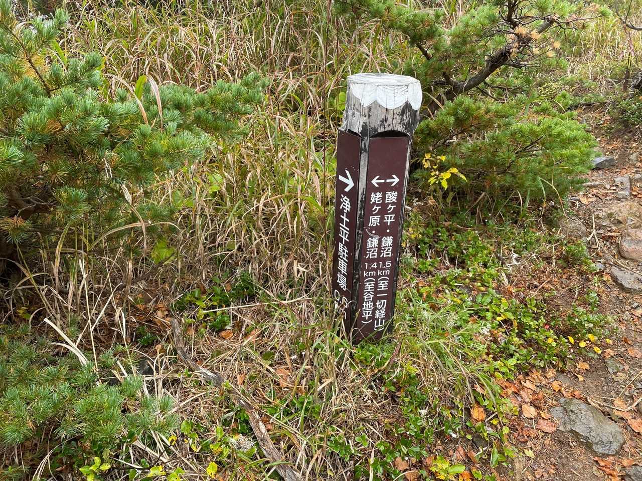 今日は、一切経山へは行かないから、分岐を左👈