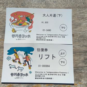 ロープウェイ片道券とリフト往復券🎟️🎫