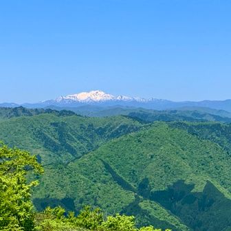 ちんた