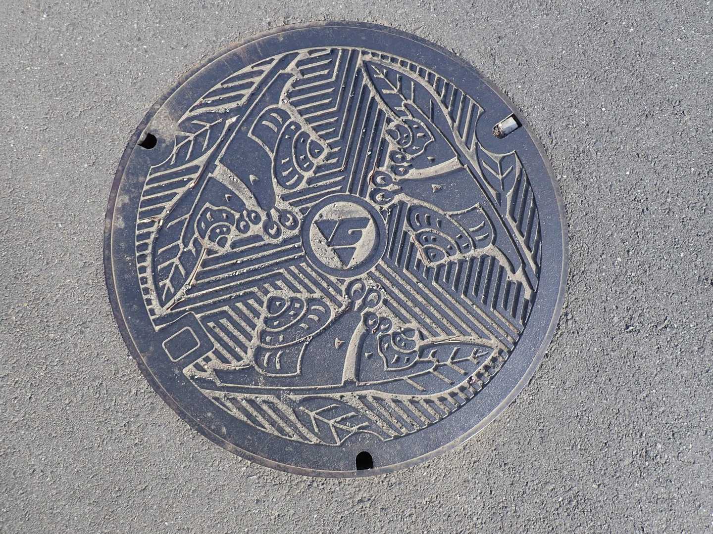 秦野駅-弘法山公園入口登山口-権現山-弘法山-善波峠-善波 縦走コースの写真