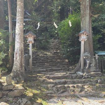 登山道はこの石段から始まります