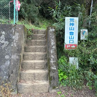 P→に車を止めてココから登ります
