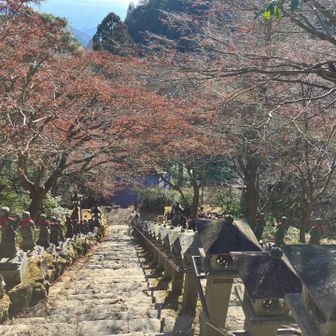 大山寺にお参りした後
ここはずっと紅葉🍁づいてると思っていたけど、そんなことはなかった😢