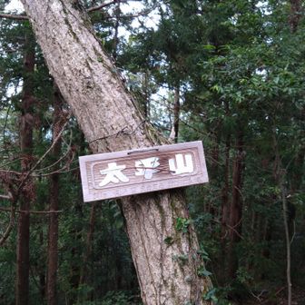 ん？！山名板になんかついてる🫣