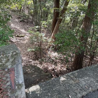 ここから岩戸山へ